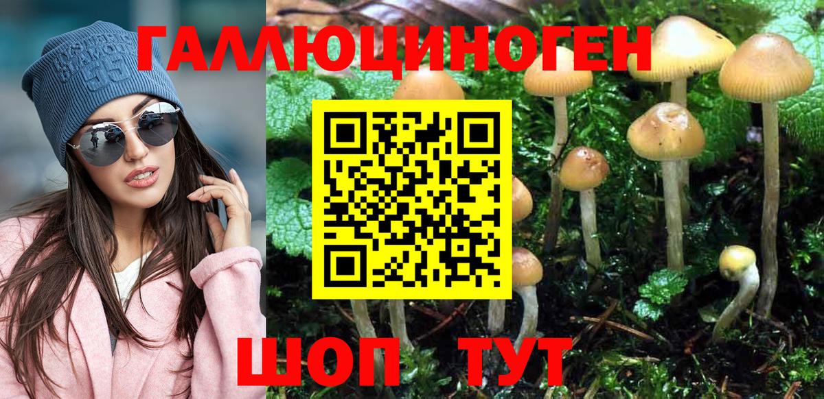 Галлюциногенные грибы мухоморы  Вход с VPN  Галлюциногенные грибы ЛСД  Сердобск 